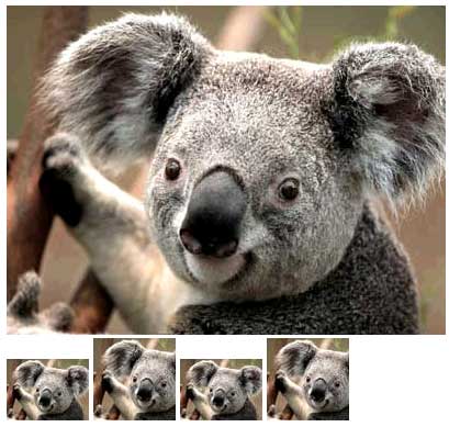 Image filters on a wide image