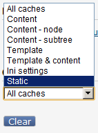Clear static cache