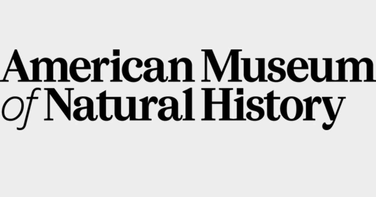 American Museum of Natural History | Mugo Web