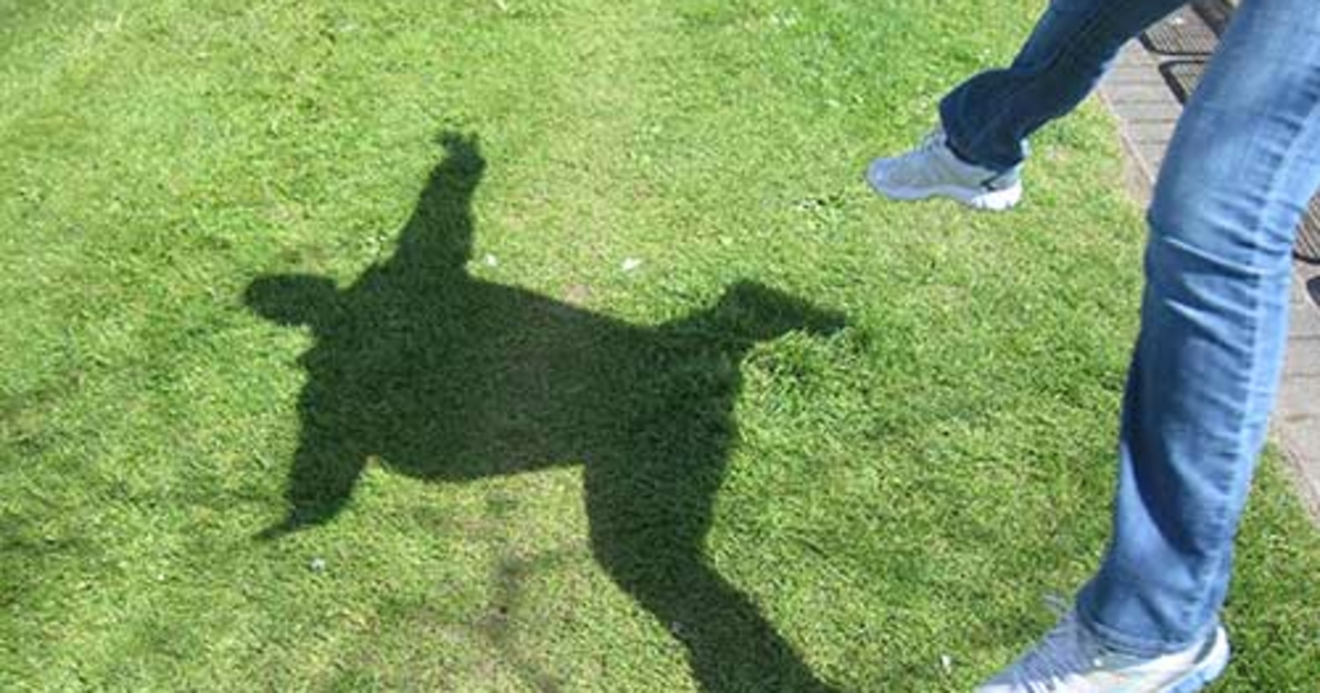 Builtin Varnish Cache "purgeonpublish" support in eZ Publish Mugo 