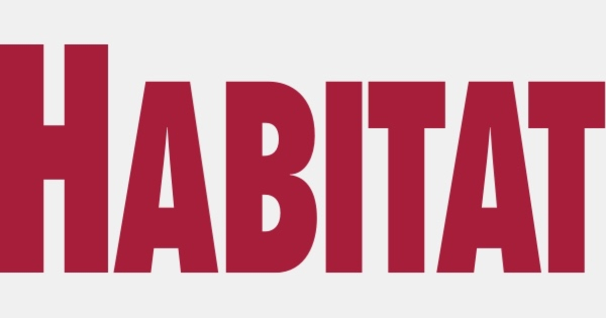 Habitat Magazine Mugo 